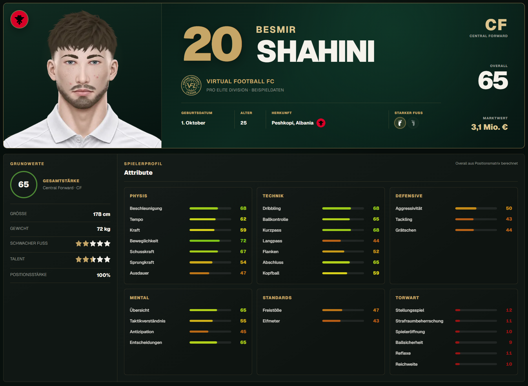 Spielerprofil Variation 1