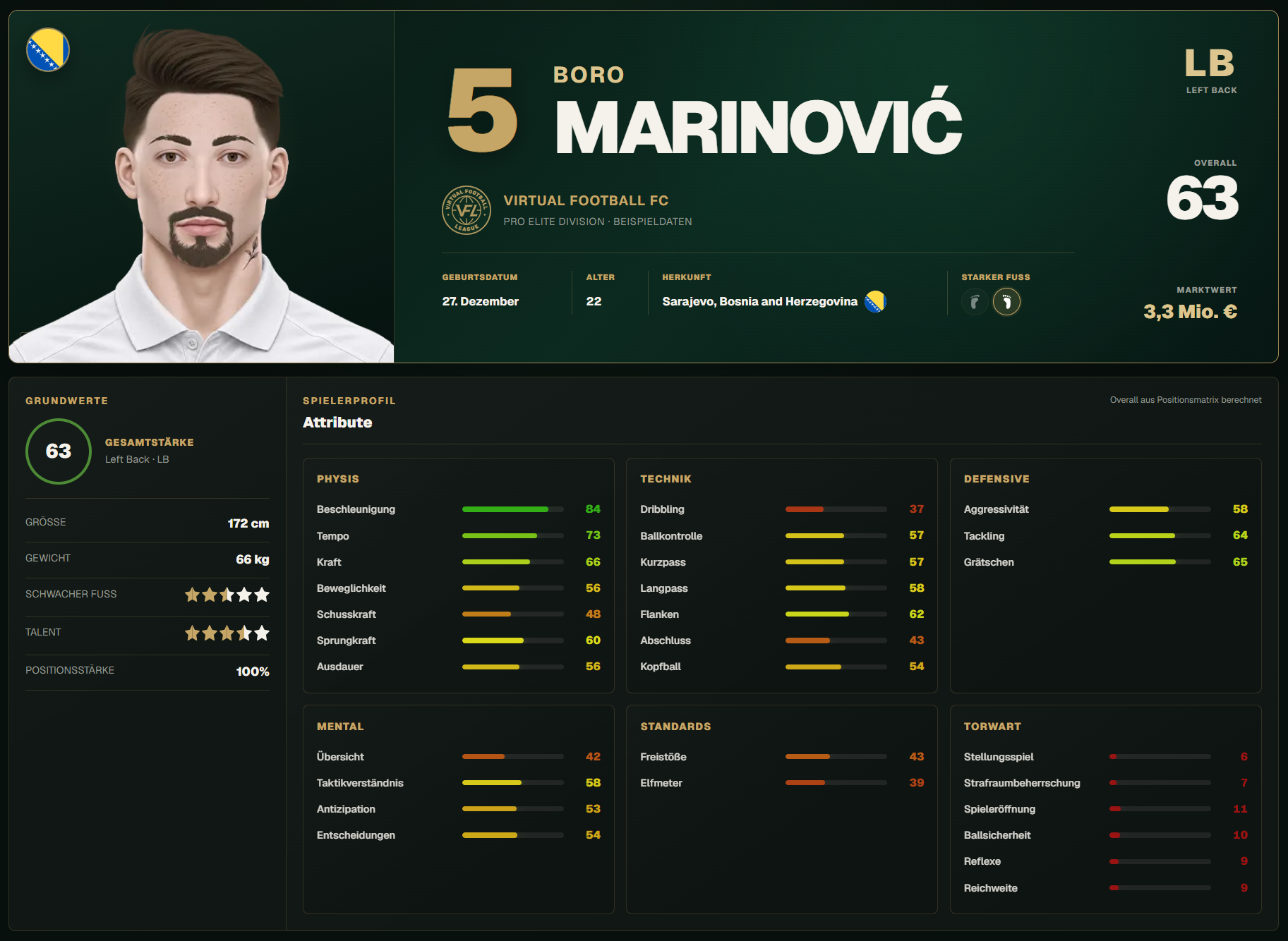 Spielerprofil Variation 2