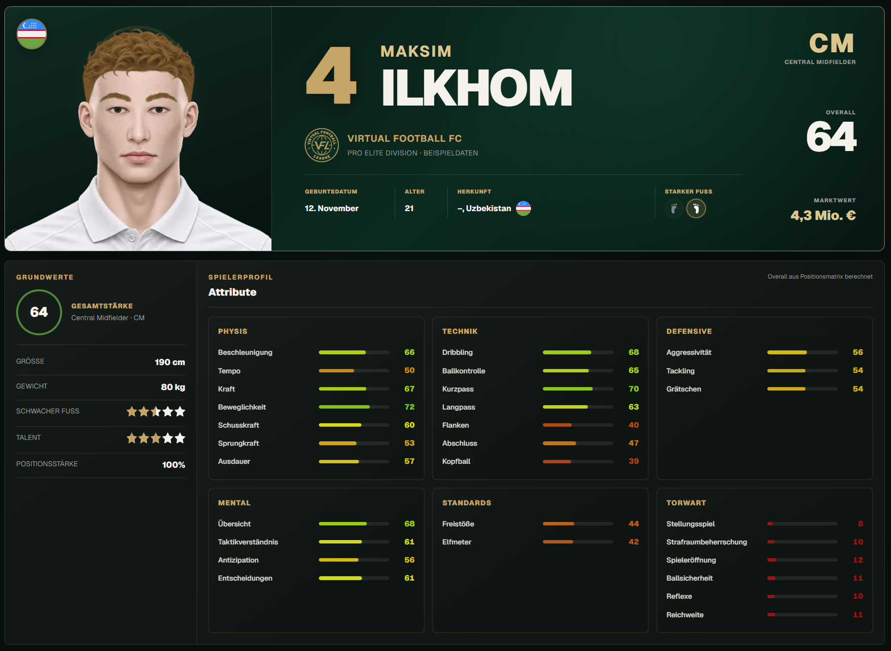 Spielerprofil Variation 3